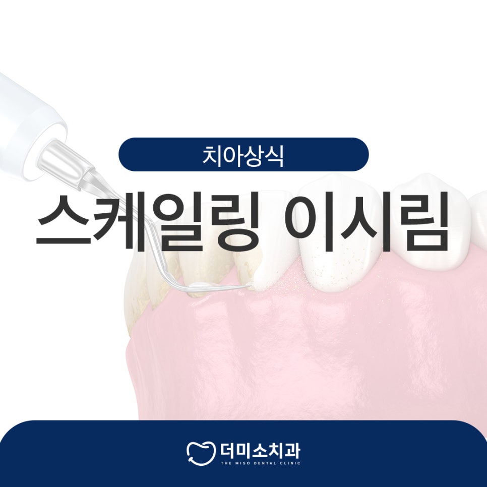 더미소치과 스케일링