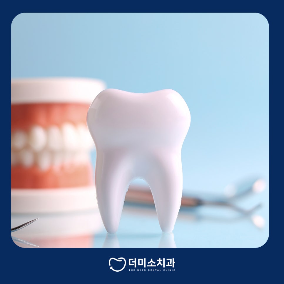 더미소치과 스케일링